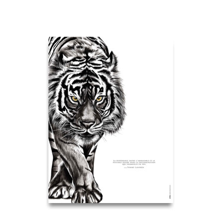 Affiche citation inspirante le Tigre "la détermination"